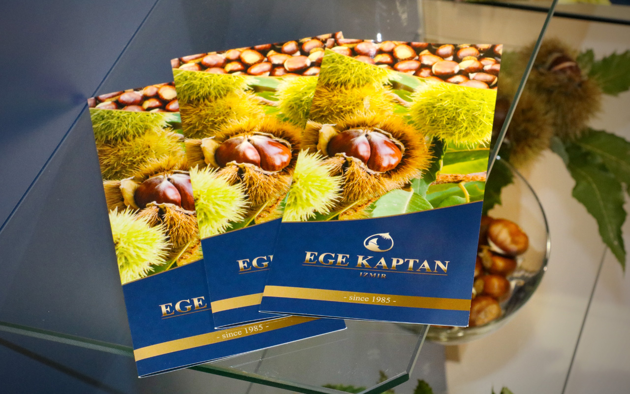 EGE KAPTAN - Großhandel für Maronen aus der Türkei