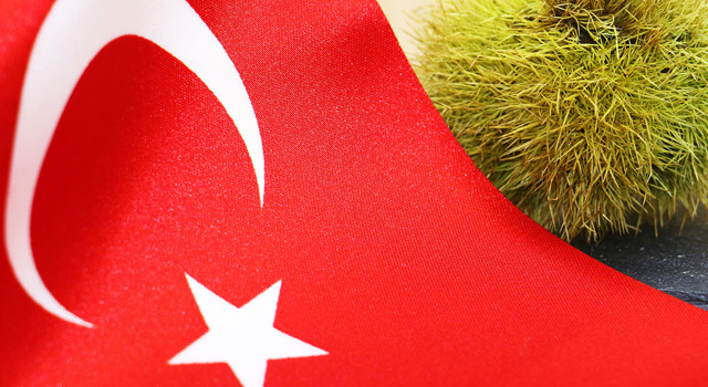 EGE KAPTAN - Organic agriculture chestnuts Turkey